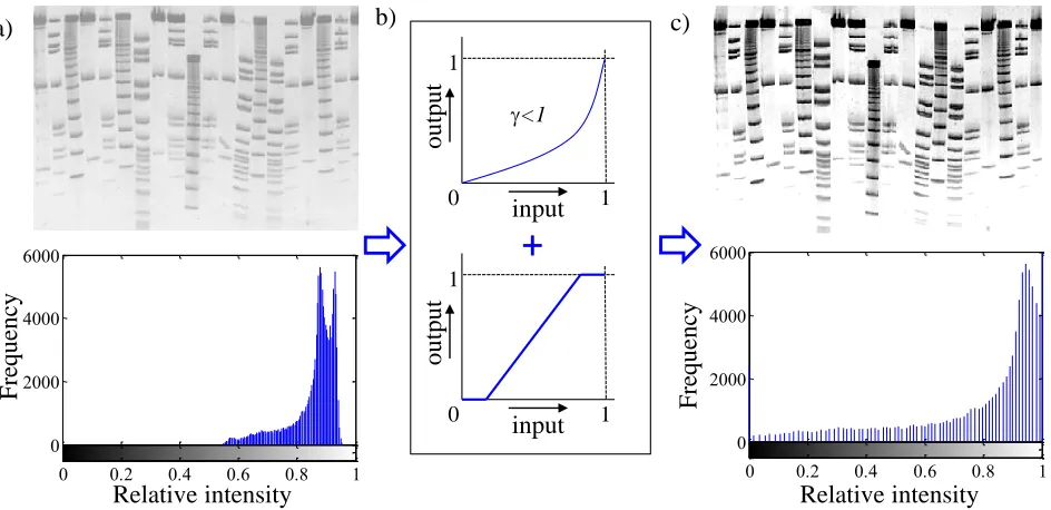Figure 1. Enhancement of image contrast using a combination of two transformation functions
