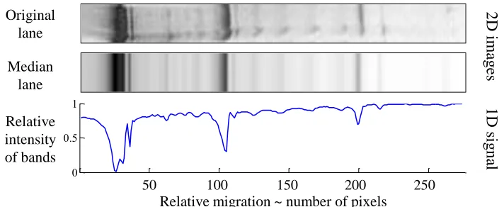 Figure 3. Conversion of a lane image to signal representation using median. a) The original 2D lane after segmentation