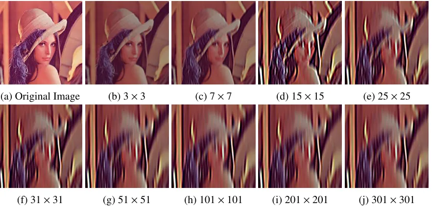 Figure 1.5: Given an input image of size 220 × 220 pixels, we change σ = [1.0, 2.0, 3.0, 4.0]from left to right