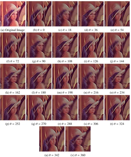 Figure 1.7: Given an input image of size 220 × 220, we change the theta starting fromrow 1 where θ = [0, 18, 36, 54], row 2 where θ = [72, 90, 108, 126, 144], row 3 whereθ = [162, 180, 198, 216, 234], row 4 where θ = [252, 270, 288, 306, 324], and row 5 wh