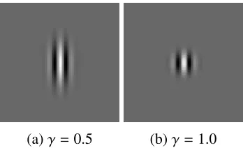 Figure 1.11: Given an input image of size 220×220, we change γ where γ = [0.2, 0.4, 0.6, 0.8]from left to right