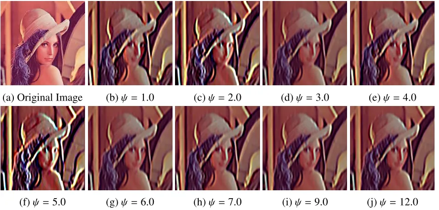 Figure 1.12: Given an input image of 100 × 100, the Gabor kernel provided is found usingthe following parameters σ, θ, λ, and γ that are set to [σ, 0.0, 10.0, 0.5] respectively, whereσ = 0.56λ [18].