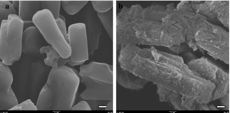 Fig. 6 SEM micrographs of surface morphology (× 7000): (a) APP and (b) SMFAPP; Scale-bars represent 1 µm 