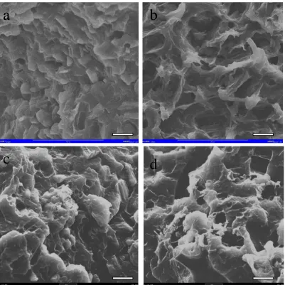Fig. 10 SEM micrographs of fracture surfaces of the composites (× 1500): (a) PP/APP; (b) PP/APP (50 oC, 24h); (c) PP/SMFAPP; (d) PP/SMFAPP (50 oC, 24h)