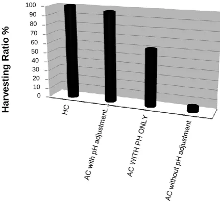 Figure 3. Microscopic photo of fungus–algae complex biomass visualized under Olympus-BH2 with 40     magnifications