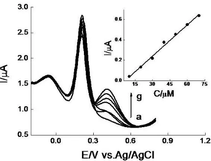 Figure 5.  DPVs at PARGCE in pH 6.47 PBS containing 1 mM AA and 40 μM UA in the presence of different concentrations of DA