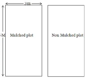 Figure 3.2: Showing different landscape positions 