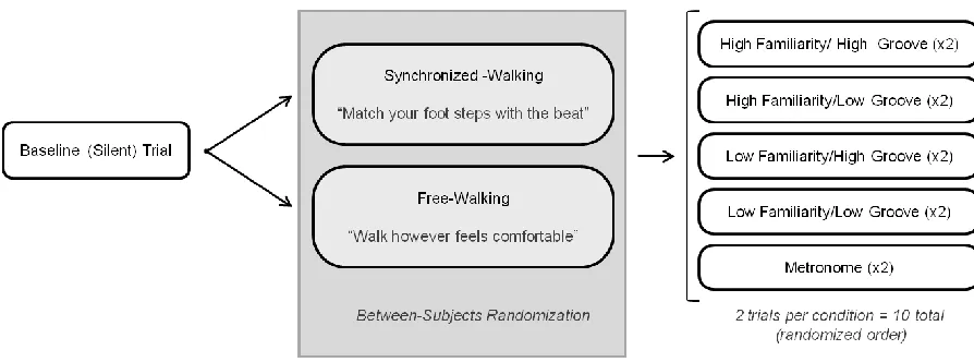 Figure 2.2 Illustration of procedures for cued walking trials.  Adapted from Ready et al
