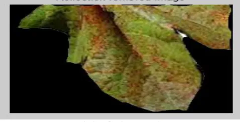 Fig 2.Edge removal  