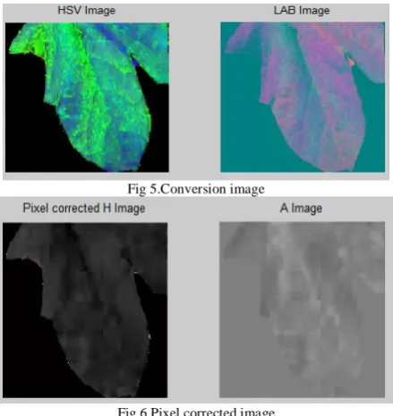 Fig 5.Conversion image 