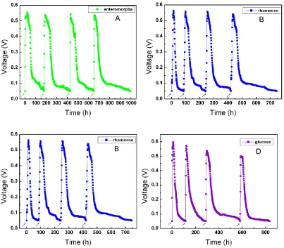 Figure 1. Voltage output over time of the MFC with external resistance of 1000 Ω. (A) the substrate was E