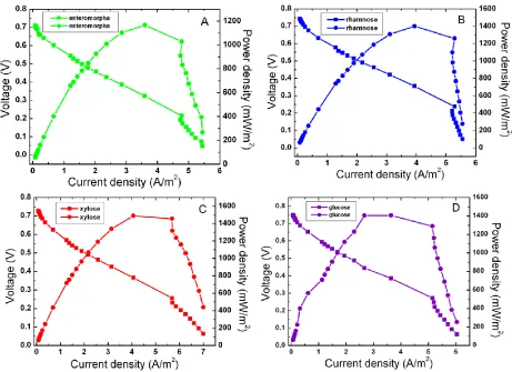Figure 2.  Power density curves and polarization curves of the MFC. (A) the substrate was E