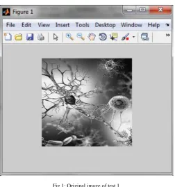 Fig 1: Original image of test 1   