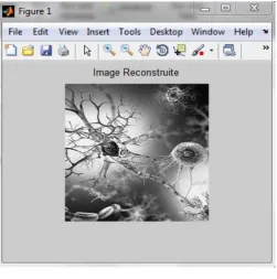 Fig 2 shows the decompressed image after applying „harr‟ wavelet. Compressed image is further decompressed using dwt technique with level 2" and threshold value of 10