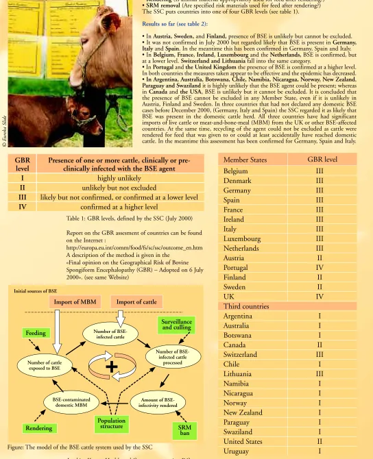 Table 2: Overview of the result of the GBR assessmentfor 29 countries