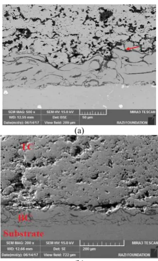 Figure 4.(b)  SEM image of samples after thermal shock test (a) after 50 cycles (b) after 98 cycles 