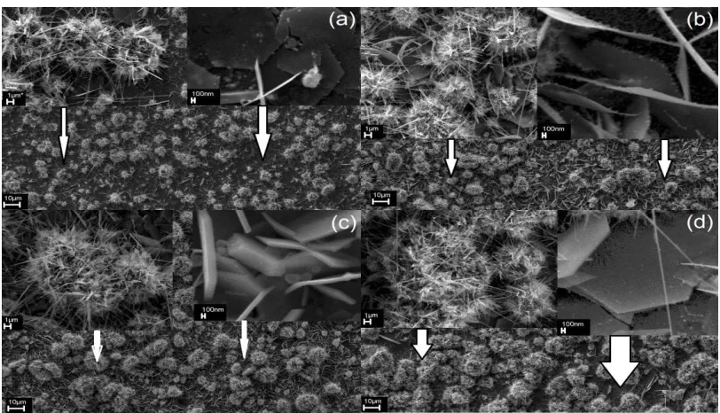 Figure 1. The morphology of the produced ZnO at different deposition time (a) 5 min, (b) 10 min, (c) 15 min and (d) 20 min