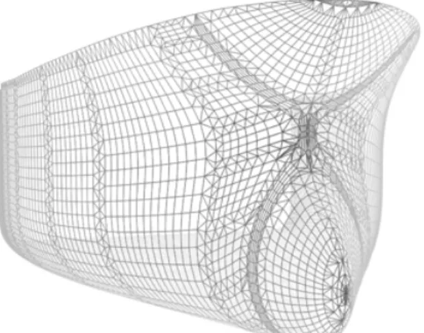 Figure 3: P43 shell, after the use of the NURBS algorithm, with matching borders 