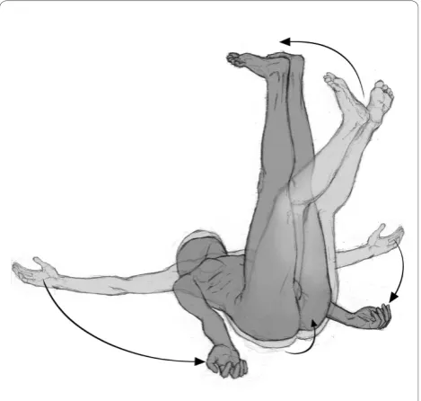 Figure 2 Positions. Lying posture with hip joints flexionprogression: posterior muscle chain stretching.