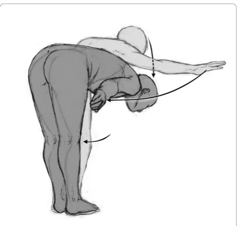 Figure 3 Positions. Standing posture with trunk flexionprogression: posterior muscle chain loading stretching.
