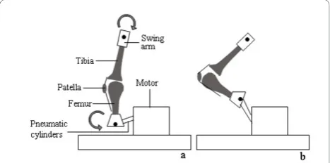 Figure 1 Schematic diagram of the new ex vivo CPM device inextension (a) and flexion (b).