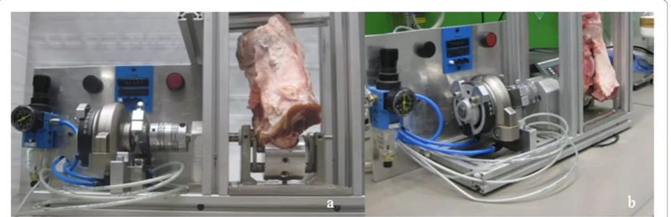 Figure 2 Experimental setup with the ex vivo CPM device and fixed porcine knee specimen in front (a) and side (b) views.