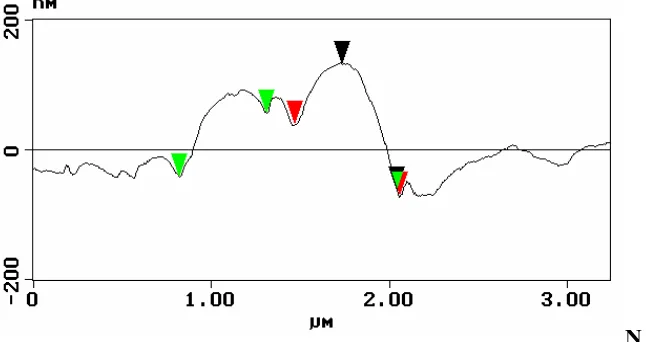 Figure 4. AFM images obtained of PPy films synthesized at a constant potential of 0.90 V vs