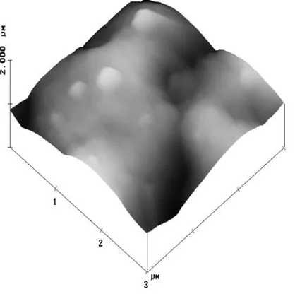 Figure 3. a) Top view image of a clean vitreous carbon substrate; area = 2.60 x 2.60 section analysis
