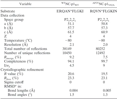 TABLE 1. Crystallographic statistics for the two NC-p1 complexes