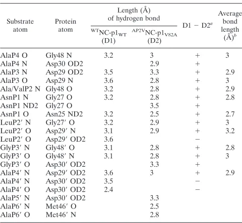 TABLE 2. Substrate-protease hydrogen bonds formedby the two NC-p1 substrates
