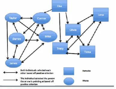 Figure 2 An Example of a Sociogram 