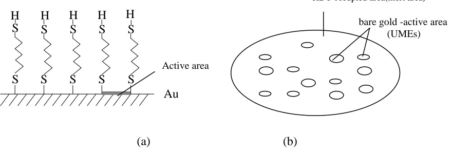 Figure 1.  Cyclic voltammgrams (a ) and Nyquist plots (b) of 10 mM K3Fe(CN)6 + 10 mmol·L-1 K4Fe(CN)6 + 1 mol/L KCl at bare gold and HDT/Au electrodes with different self-assembling hours