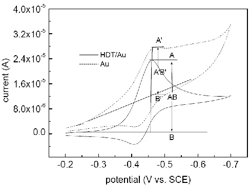 Figure 3. Cyclic voltammograms of DAP at gold and HDT/Au electrodes with two hours self-assembling, v= 50mv/s 