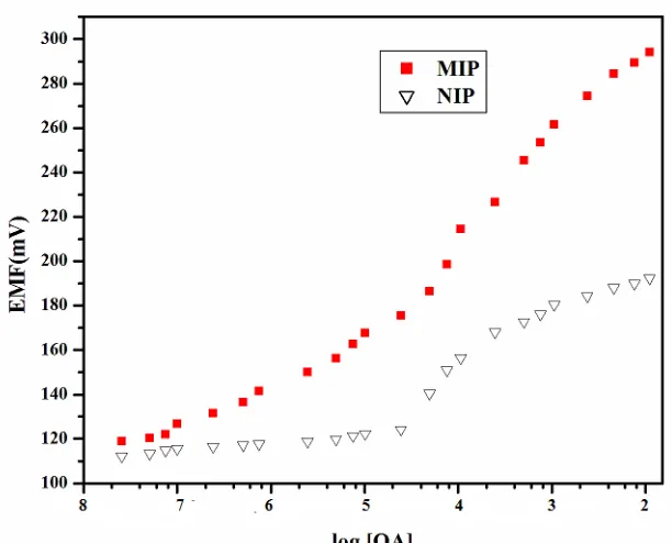 Figure 4.  Calibration plot for the oxalate anion selective electrode with optimized membrane  composition   based on MIP and NIP particles  