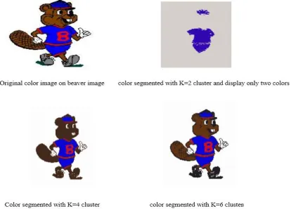 Figure 2: the original color images on texture, rose, beaver image. 