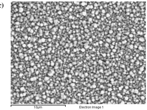 Figure 5. SEM micrographs for three typical In2S3 thin films electrochemically grown onto FTO substrates at: (a) –1.125 V, (b) –1.150 V and (c) –1.175 V respectively