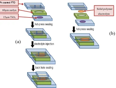 Figure 2.  (a) The fabrication process of LSE-DSSC. 2(b) The fabrication process of PVB-SPE-DSSC 