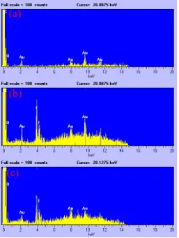Figure 5. (a) EDX spectrum from as-received PVB thin film, (b) EDX spectrum recorded from red circled positions of Fig