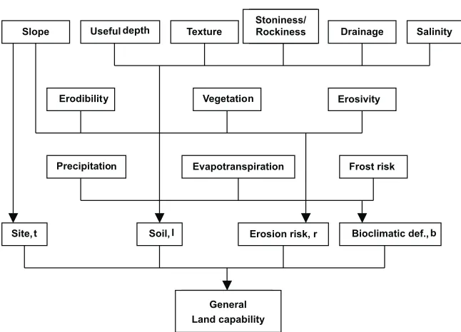 Fig. 2. General scheme of the Cervatana model.
