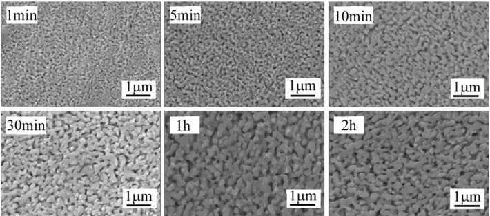 Figure 2.  SEM morphology of the nanoporous silver obtained by dealloying Ag22Zn78 at 0.4V in 0.1M H2SO4 for different time at the temperature of 2°C