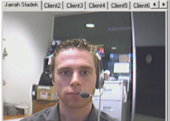 Figure 7 Screen shot of the current video display 