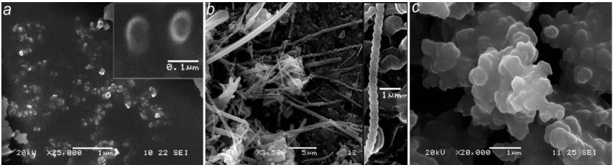 Figure 1.  SEM images of PPy prepared in a) system 1, b) system 2, and c) system 3. 