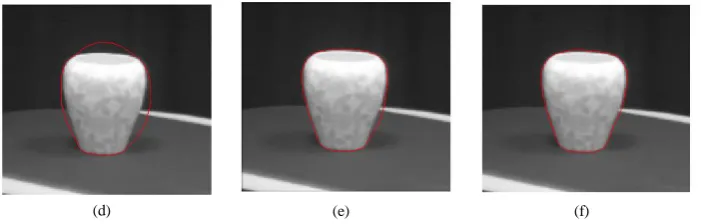 Fig. 1  Identification of the shape using active contour [15]. 