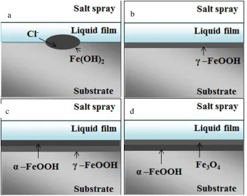 Figure 9. The conformation model of corrosion products of 23Co14Ni12Cr3Mo steel in SST  