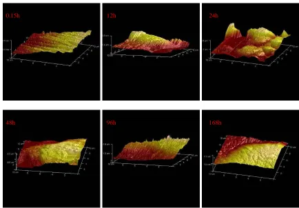 Figure 10.  AFM morphologies for different time in SST of 23Co14Ni12Cr3Mo steel 