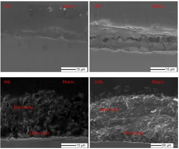 Figure 3.  Cross section morphology of 23Co14Ni12Cr3Mo steel immersed in SST for different time 