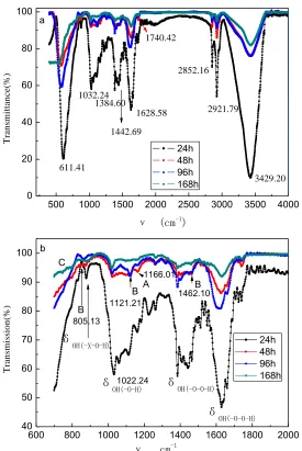 Figure 5.  XRD patterns of the corrosion products removed from the steel after exposure to SST for different time 