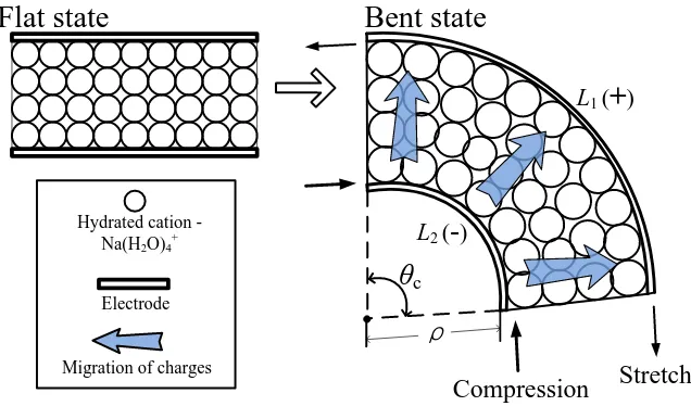 Figure 1. Illustration of operating mechanism of IPMC sensor. 