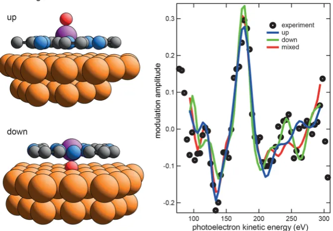 Figure 5. Comparison of the experimental normal emission O 1s PhD modulation spectrum with the results of multiple scattering simulations forthe best-ﬁt “up”, “down”, and mixed “up” and “down” VOPc geometries