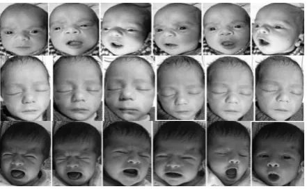 Fig. 2. Sample face Images of Infant from the Database  